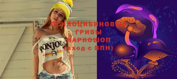 ПСИЛОЦИБИНОВЫЕ ГРИБЫ Баксан