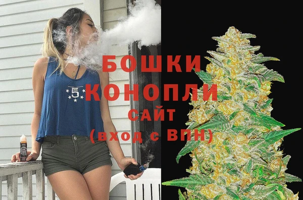 ПСИЛОЦИБИНОВЫЕ ГРИБЫ Баксан