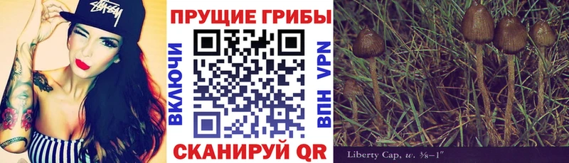 Псилоцибиновые грибы мухоморы  Новокубанск 