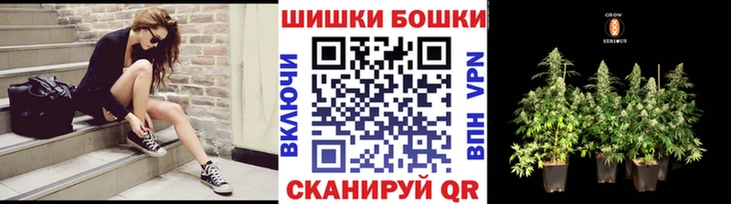 Канабис планчик  ОМГ ОМГ ССЫЛКА  Новокубанск  купить  цена 